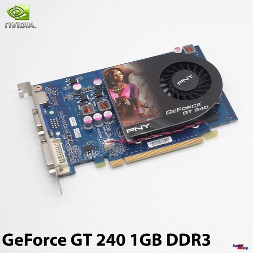 Pny geforce 240 1gb - geforce,